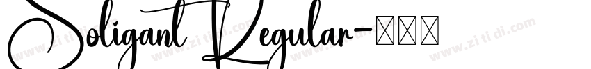 Soligant Regular字体转换